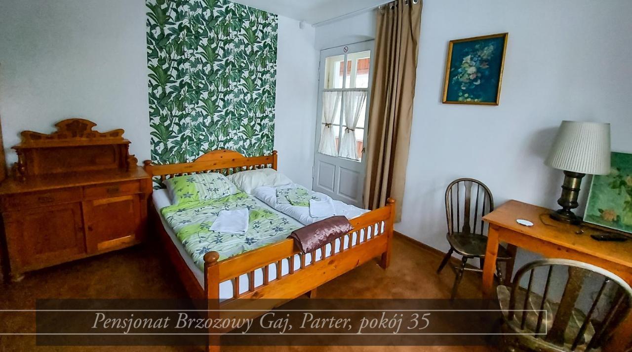 Brzozowy Gaj - Pensjonat Karpacz Exterior photo