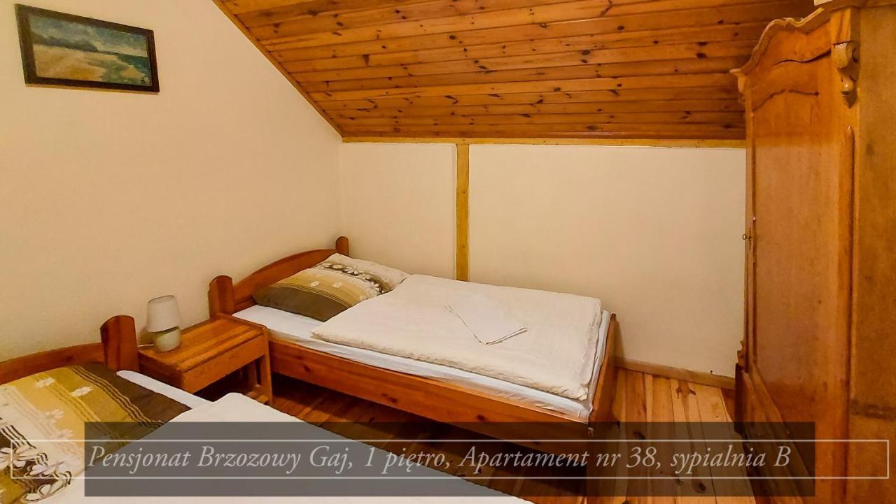 Brzozowy Gaj - Pensjonat Karpacz Exterior photo