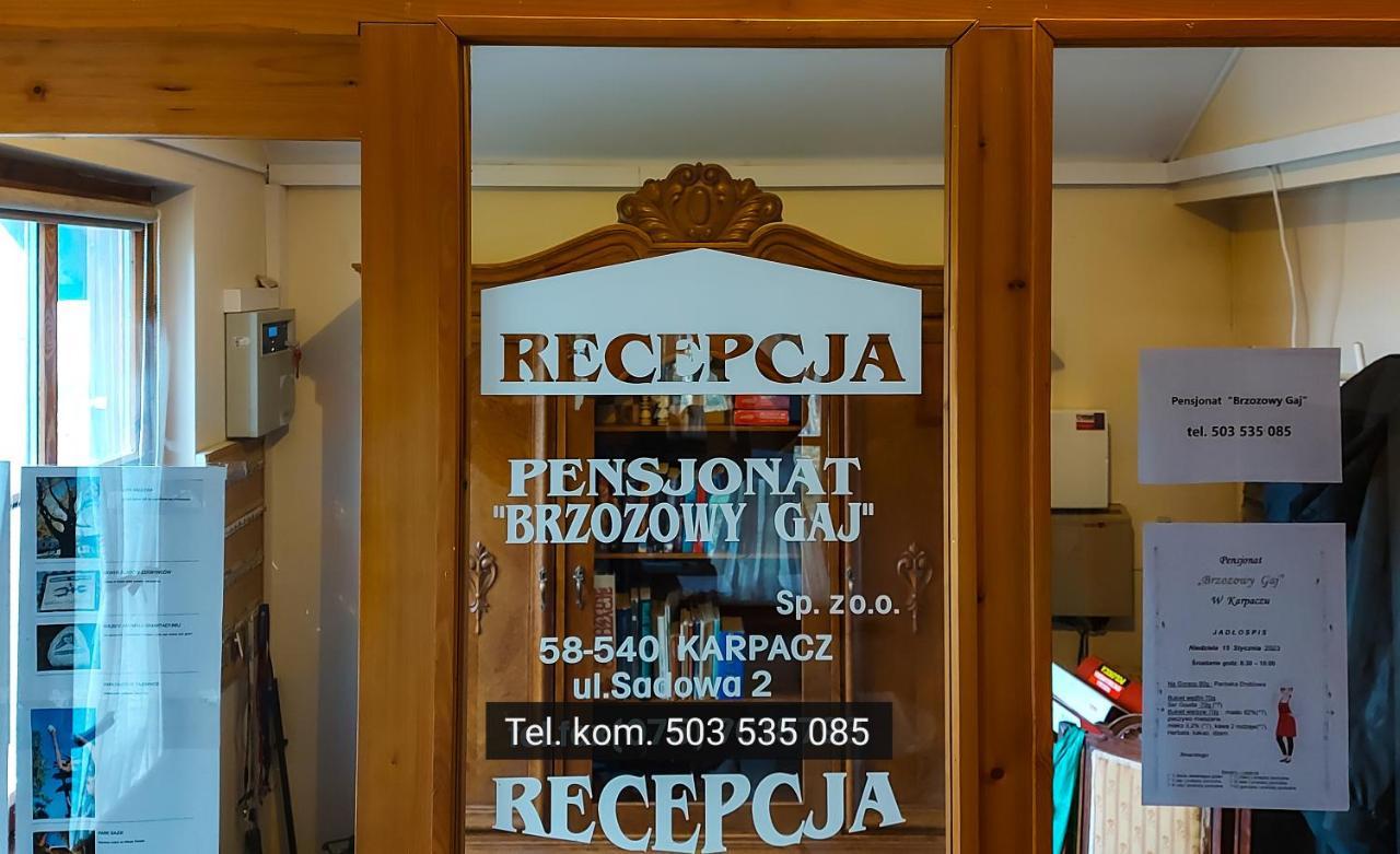 Brzozowy Gaj - Pensjonat Karpacz Exterior photo