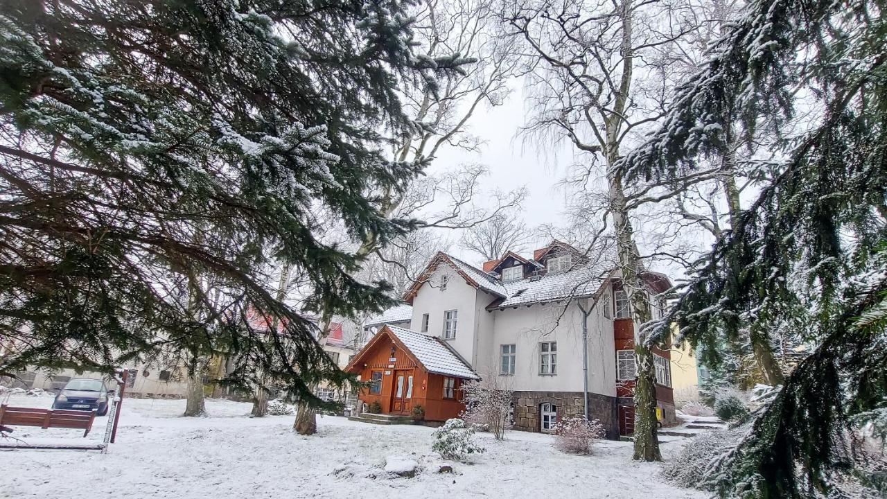Brzozowy Gaj - Pensjonat Karpacz Exterior photo